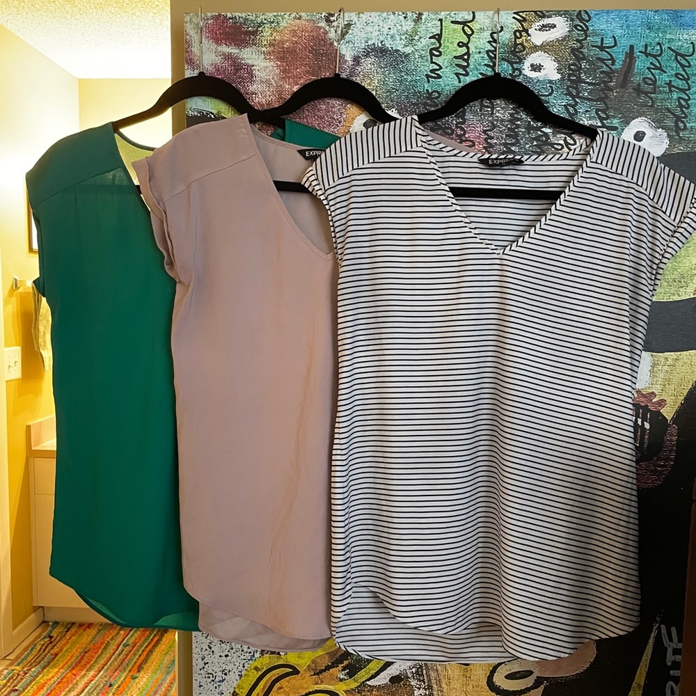 (3) Express Silk Like Blouses